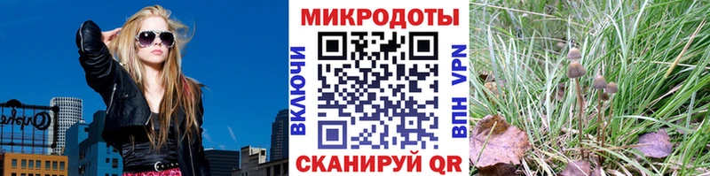 Галлюциногенные грибы прущие грибы  Старая Русса 